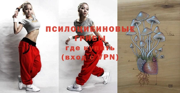 круглые Алексин