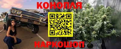 мдпв Волжск