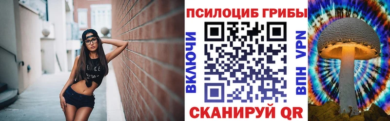KRAKEN ONION  Касимов  Галлюциногенные грибы Psilocybine cubensis 