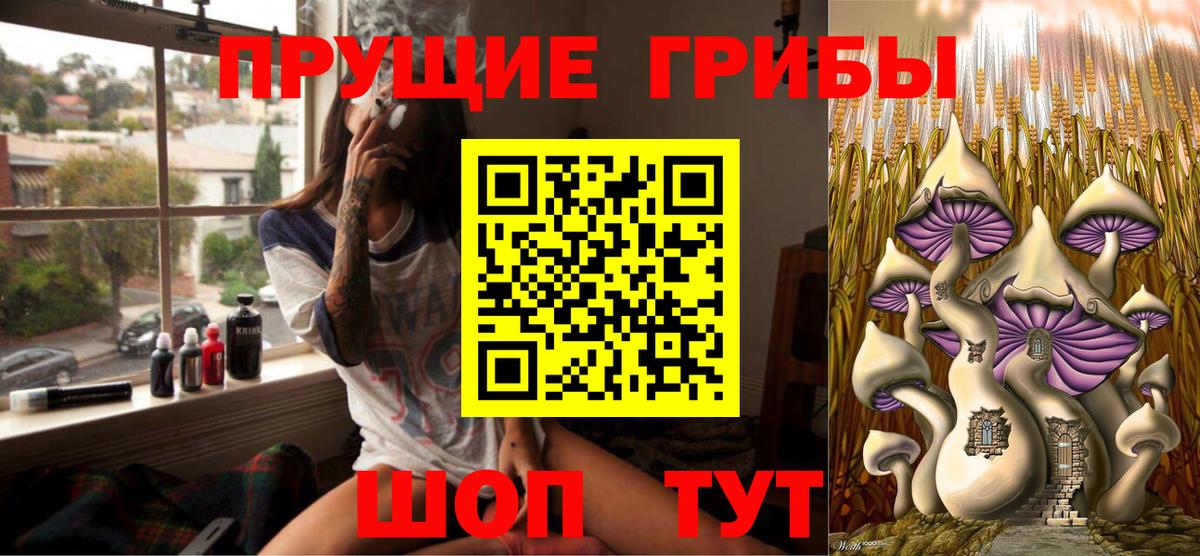 Галлюциногенные грибы Psilocybe  Вход с VPN  Псилоцибиновые грибы Magic Shrooms  Касимов 